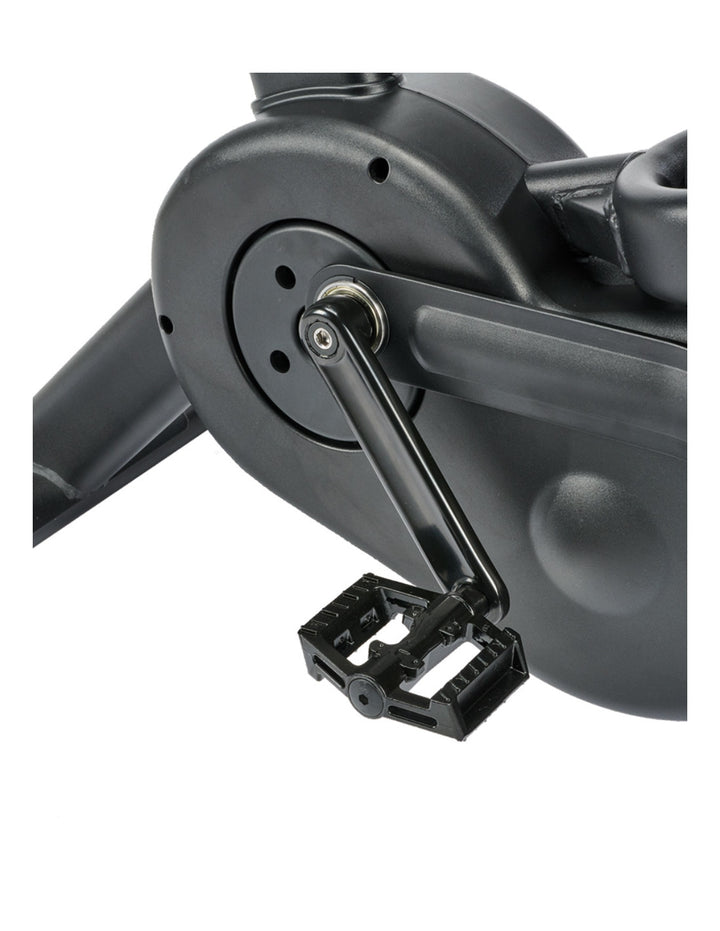 Assault AirBike PRO X